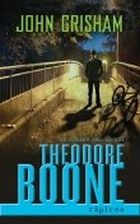 Theodore Boone, pustiul avocat. Rapirea